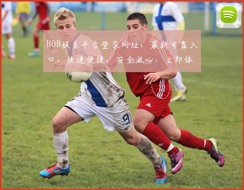 BOB娱乐平台登录网址，最新可靠入口，快速便捷，安全放心，立即体验
