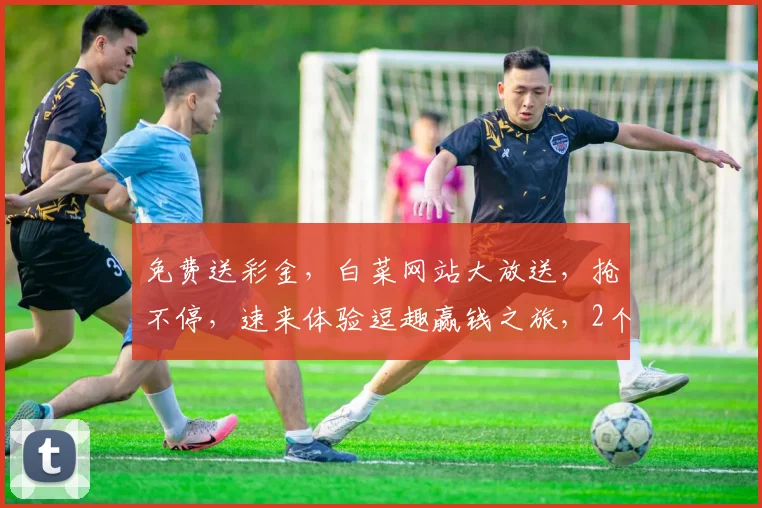 免费送彩金，白菜网站大放送，抢不停，速来体验逗趣赢钱之旅，2个惊喜等你来