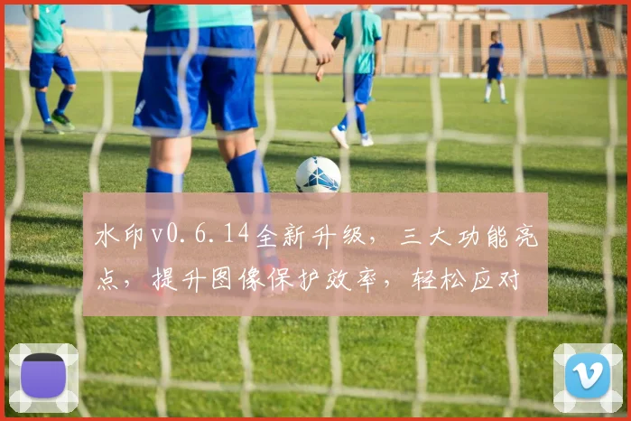 水印v0.6.14全新升级，三大功能亮点，提升图像保护效率，轻松应对网络侵权