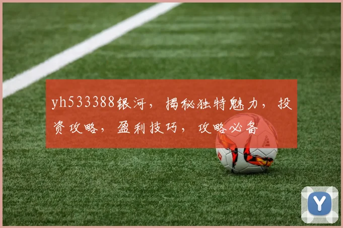 yh533388银河，揭秘独特魅力，投资攻略，盈利技巧，攻略必备