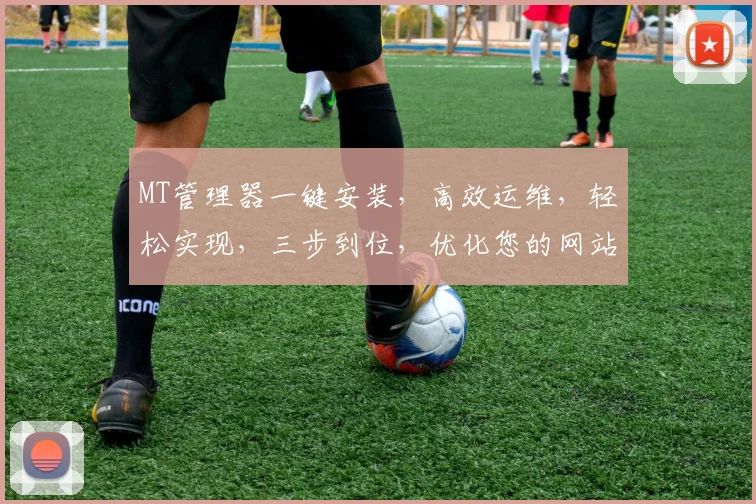 MT管理器一键安装，高效运维，轻松实现，三步到位，优化您的网站体验，