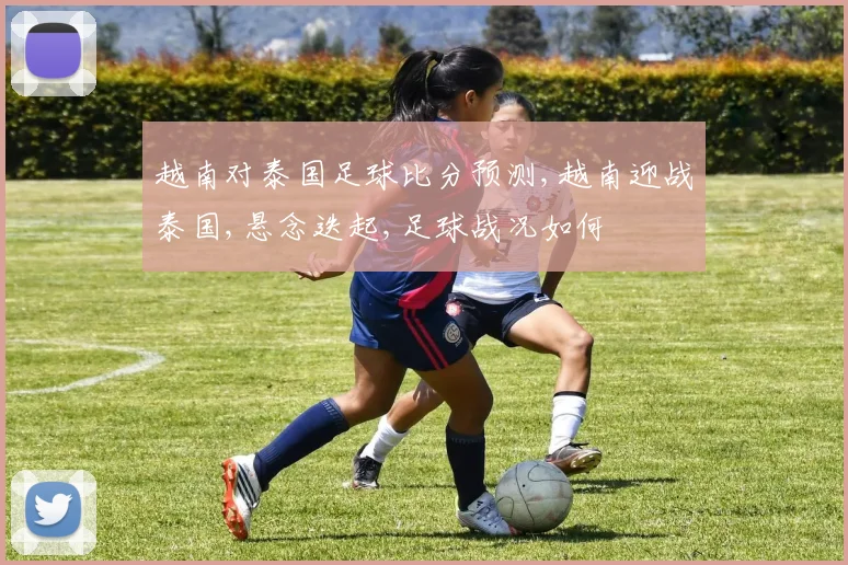 越南对泰国足球比分预测,越南迎战泰国,悬念迭起,足球战况如何